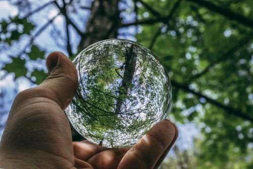 5 dicas rápidas e eficazes para sua empresa ajudar o Meio Ambiente 5 dicas rápidas e eficazes para sua empresa ajudar o Meio Ambiente