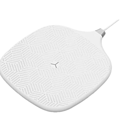 Leitor RFID DR901 | Bluebird