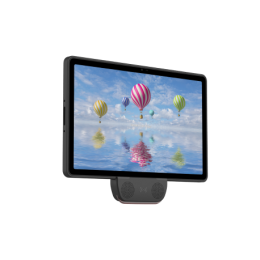 Terminal de Consulta Interativo T10 | Bluebird