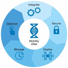 Mobility DNA | Zebra